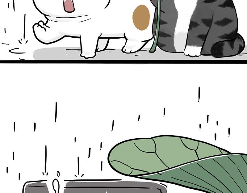 第364话 万一呢？40