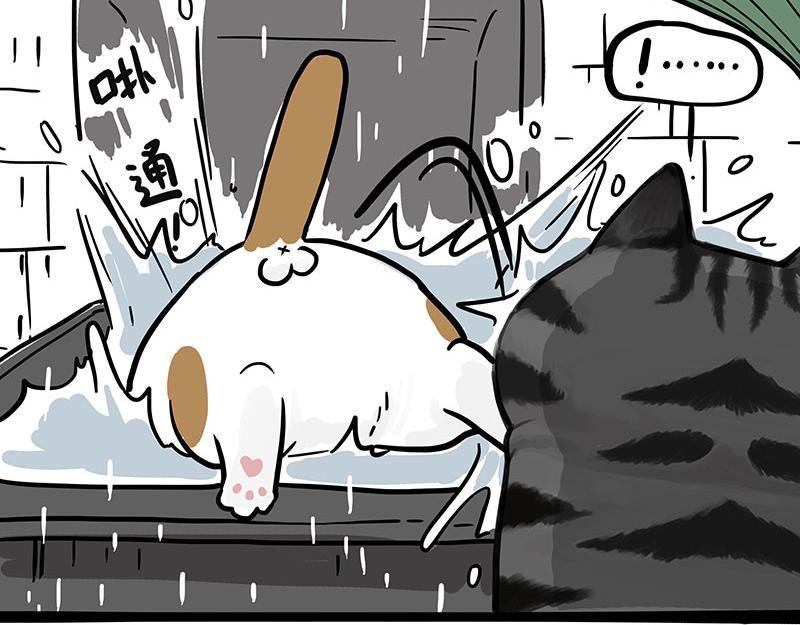 第364话 万一呢？41