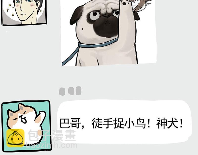 第365话 “神犬”巴扎黑11