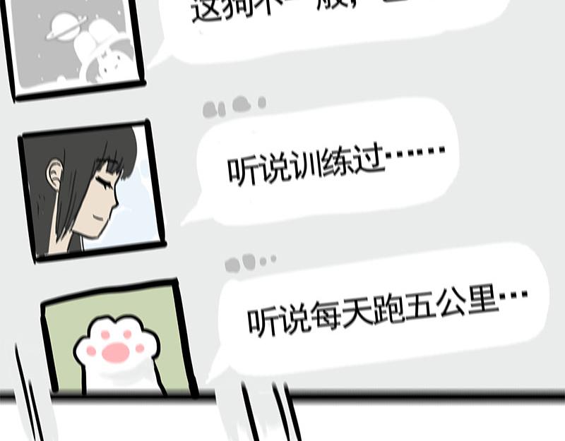 第365话 “神犬”巴扎黑14