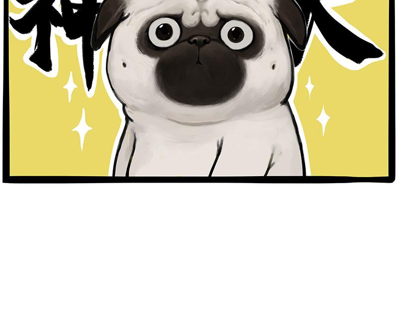 第365话 “神犬”巴扎黑17