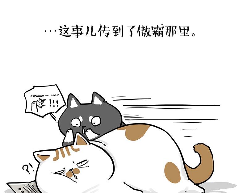 第365话 “神犬”巴扎黑18