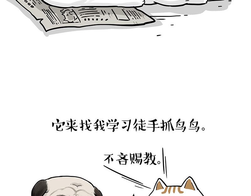 第365话 “神犬”巴扎黑19