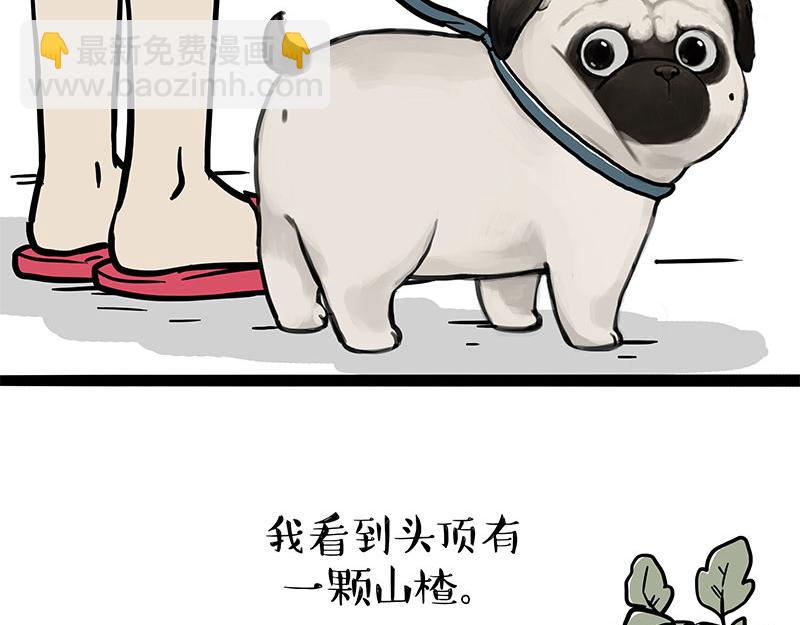 第365话 “神犬”巴扎黑2