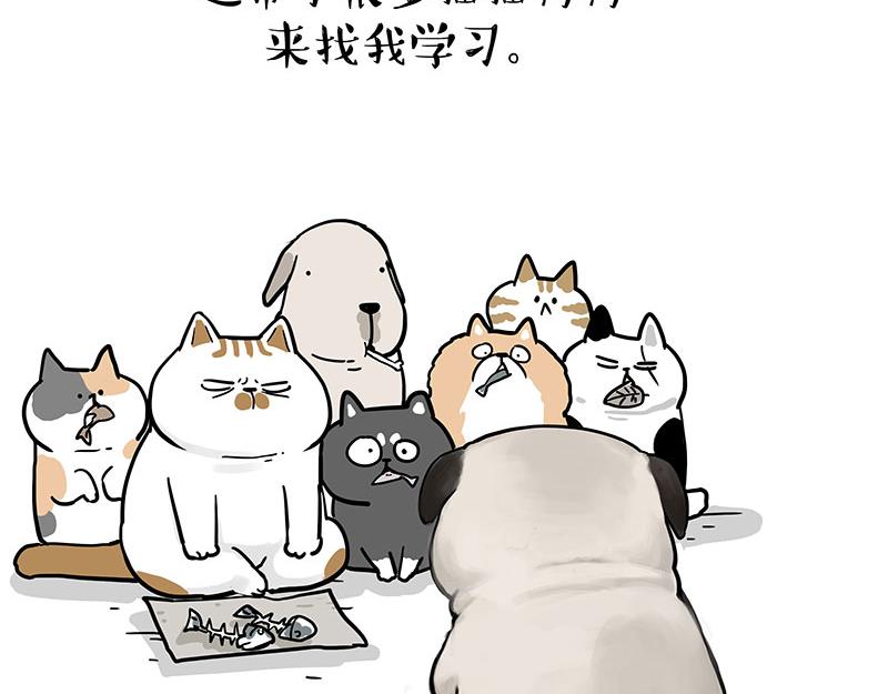 第365话 “神犬”巴扎黑21