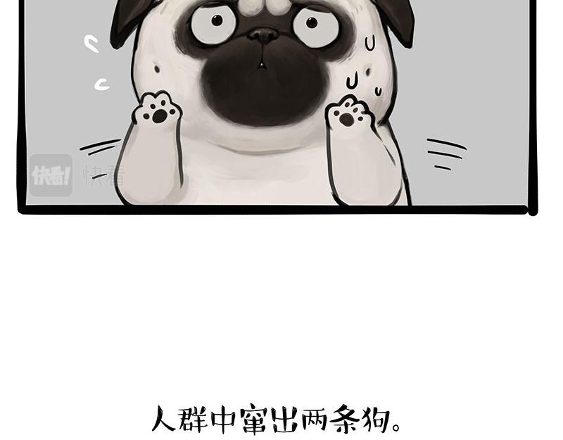 第365话 “神犬”巴扎黑23
