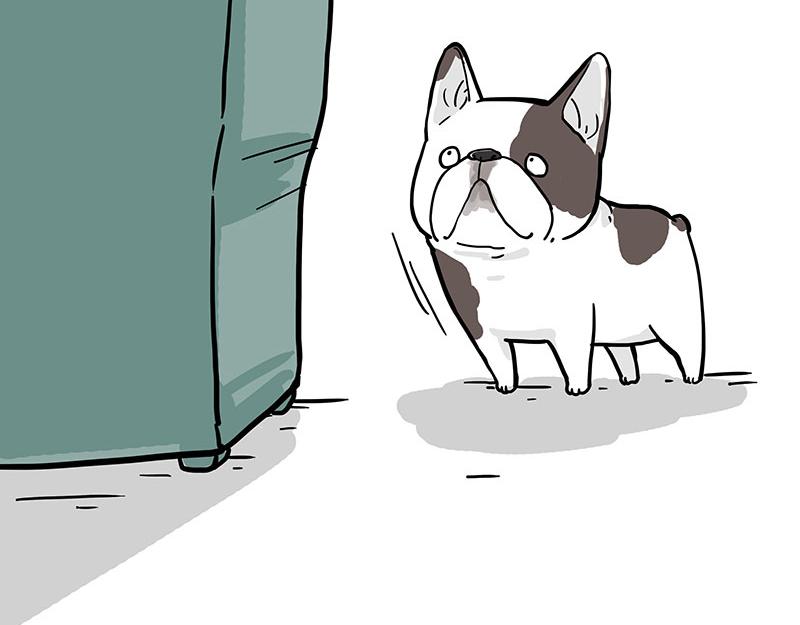 第365话 “神犬”巴扎黑28