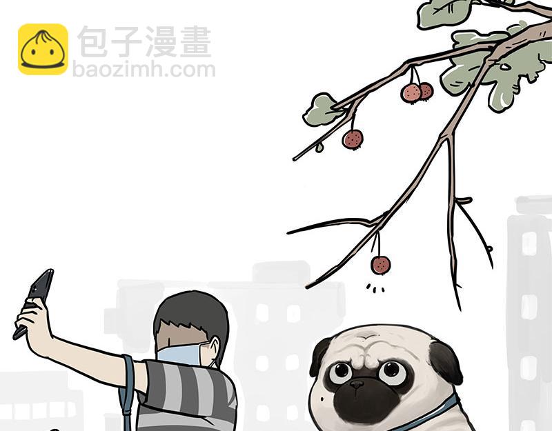 第365话 “神犬”巴扎黑3