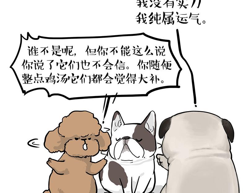 第365话 “神犬”巴扎黑33