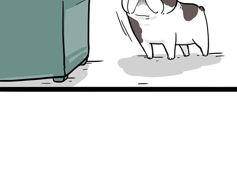 第365话 “神犬”巴扎黑38
