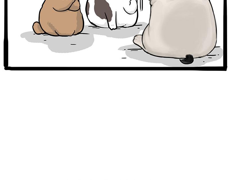 第365话 “神犬”巴扎黑40