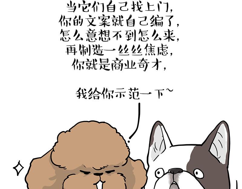 第365话 “神犬”巴扎黑41