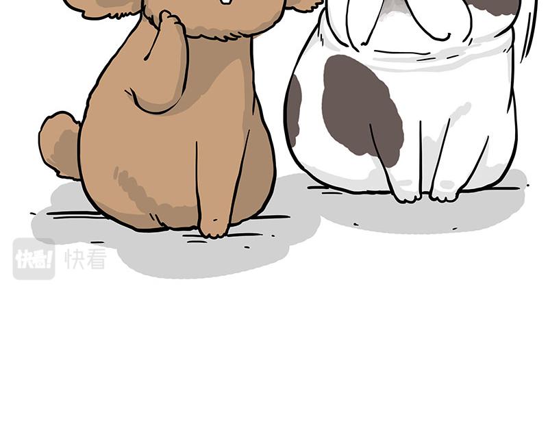第365话 “神犬”巴扎黑42