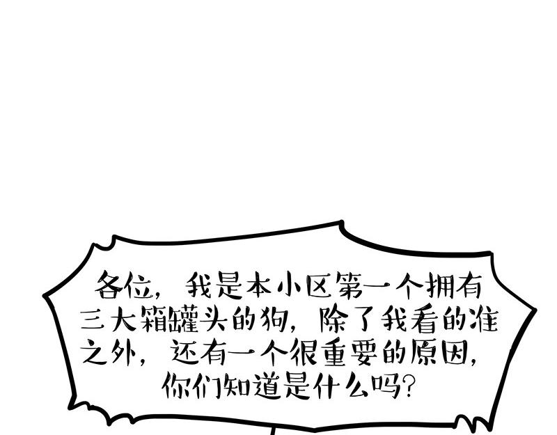 第365话 “神犬”巴扎黑43