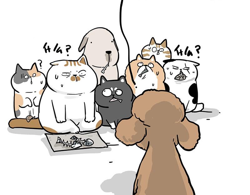 第365话 “神犬”巴扎黑44