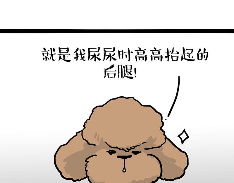 第365话 “神犬”巴扎黑46