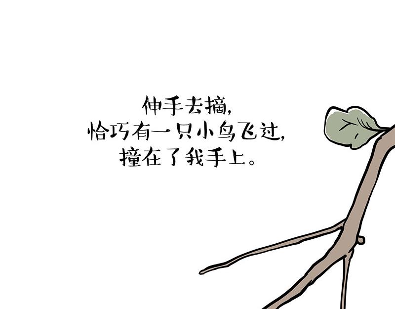 第365话 “神犬”巴扎黑5