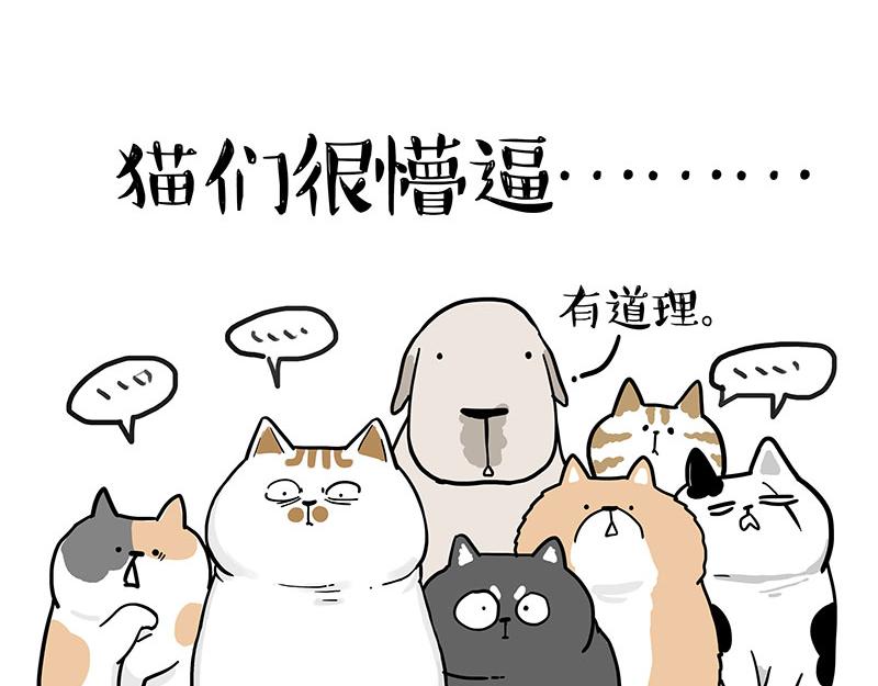 第365话 “神犬”巴扎黑55