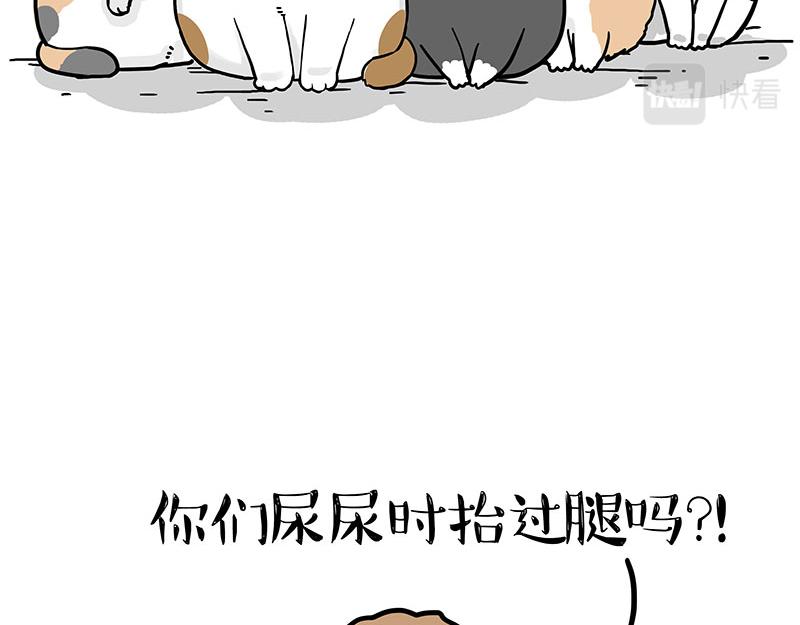 第365话 “神犬”巴扎黑56