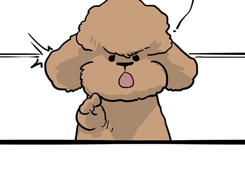 第365话 “神犬”巴扎黑57