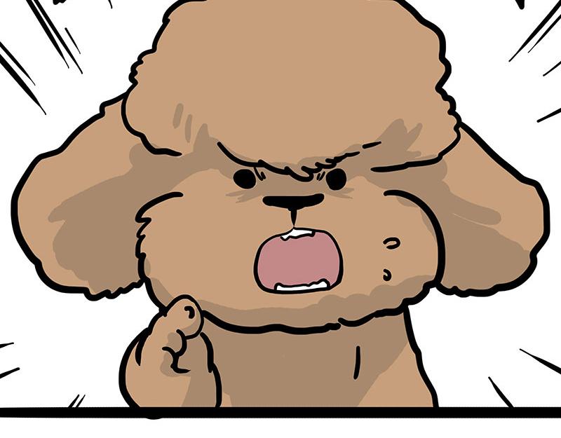 第365话 “神犬”巴扎黑60