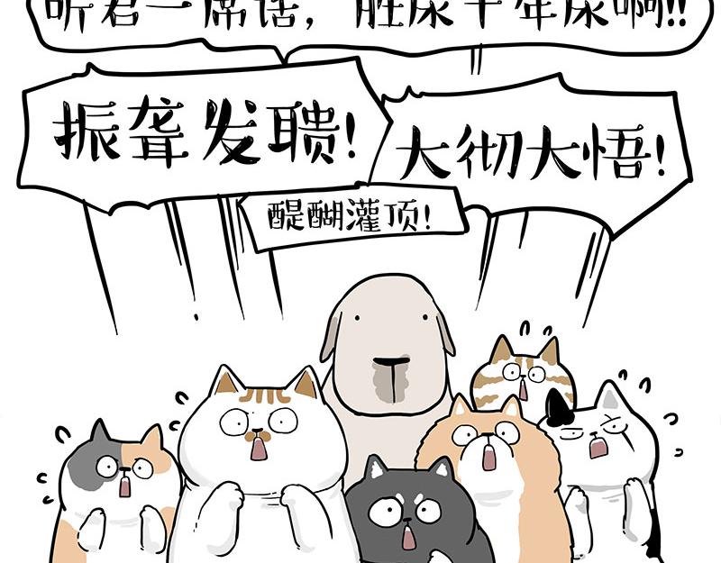 第365话 “神犬”巴扎黑68