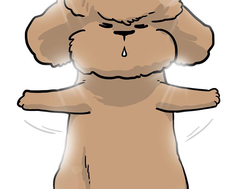 第365话 “神犬”巴扎黑75