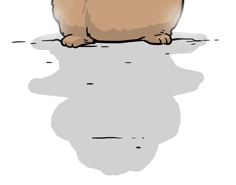 第365话 “神犬”巴扎黑76