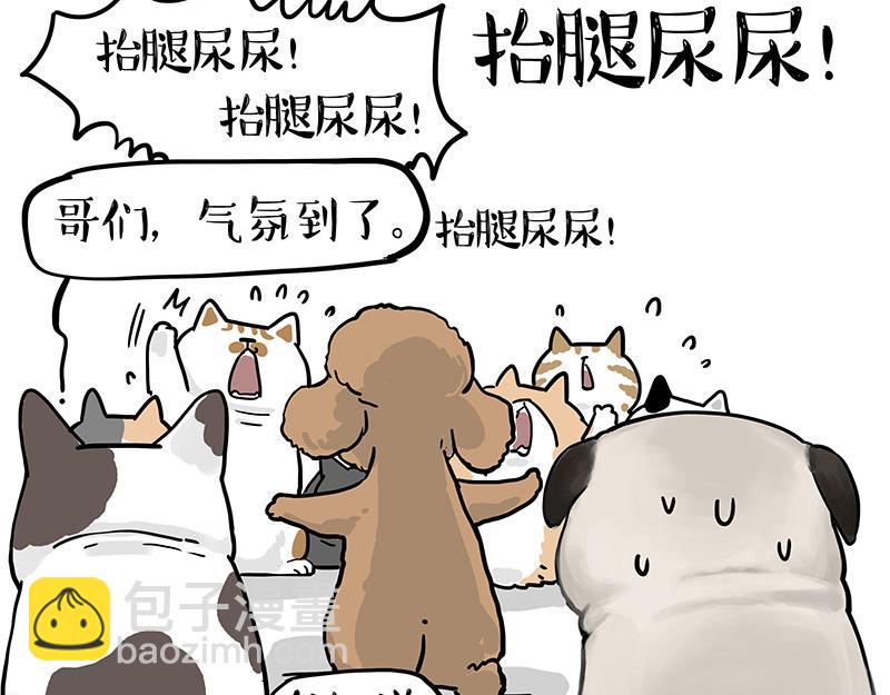 第365话 “神犬”巴扎黑78