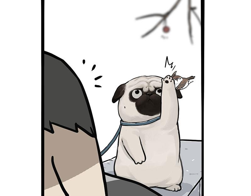 第365话 “神犬”巴扎黑8