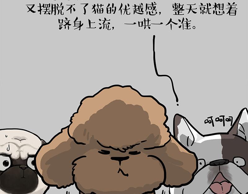 第365话 “神犬”巴扎黑80