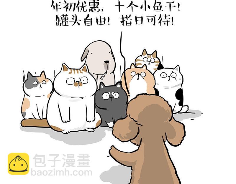 第365话 “神犬”巴扎黑82