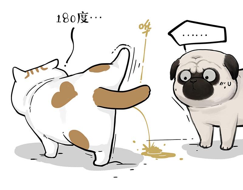 第365话 “神犬”巴扎黑92