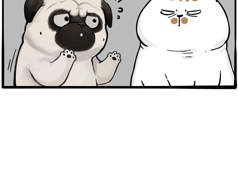 第365话 “神犬”巴扎黑94