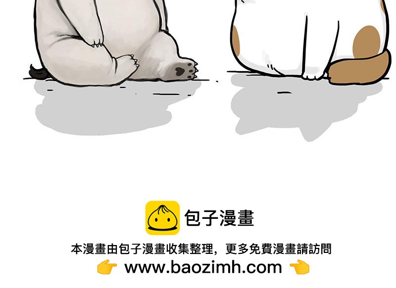第365话 “神犬”巴扎黑96