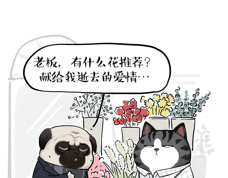 第366话 情人节，略过12