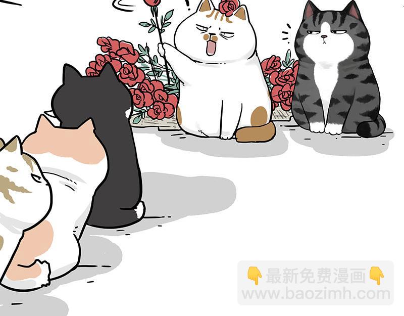 第366话 情人节，略过17