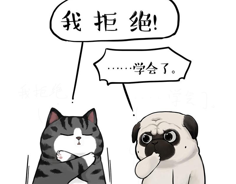 第367话 都不是事儿38