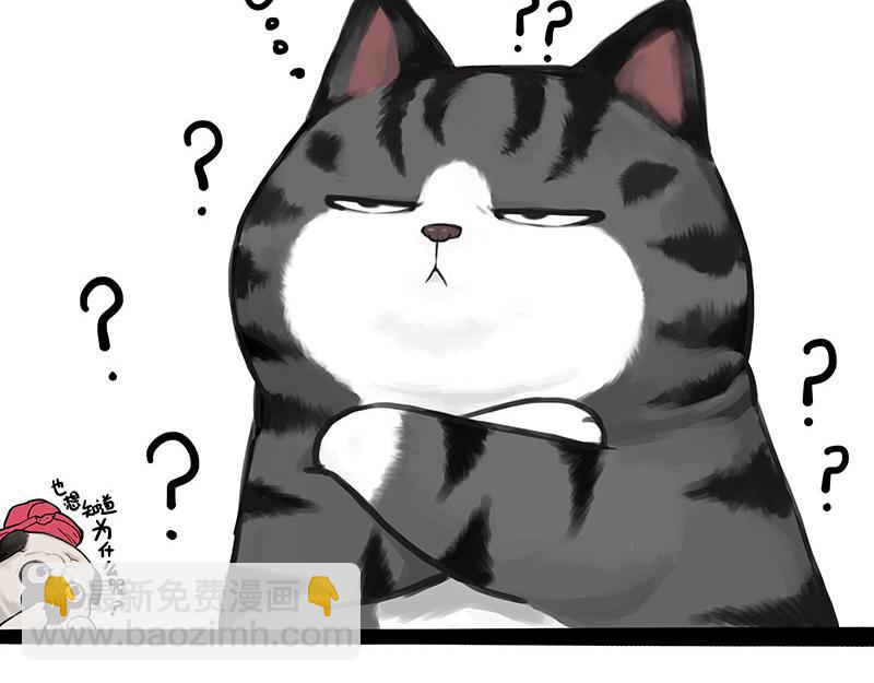 第369话 老天爷的答案15