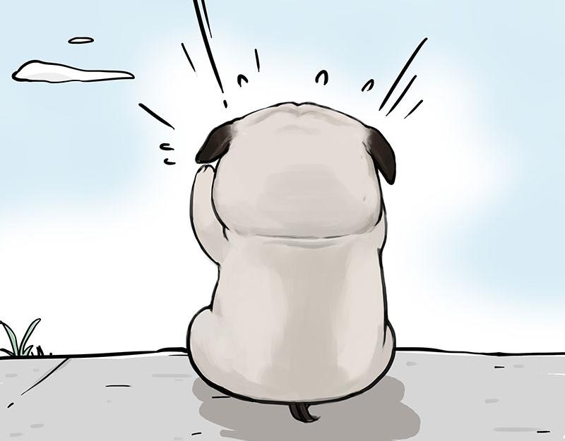 第369话 老天爷的答案33
