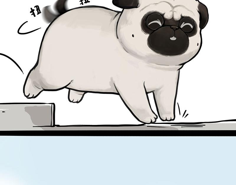 第369话 老天爷的答案35
