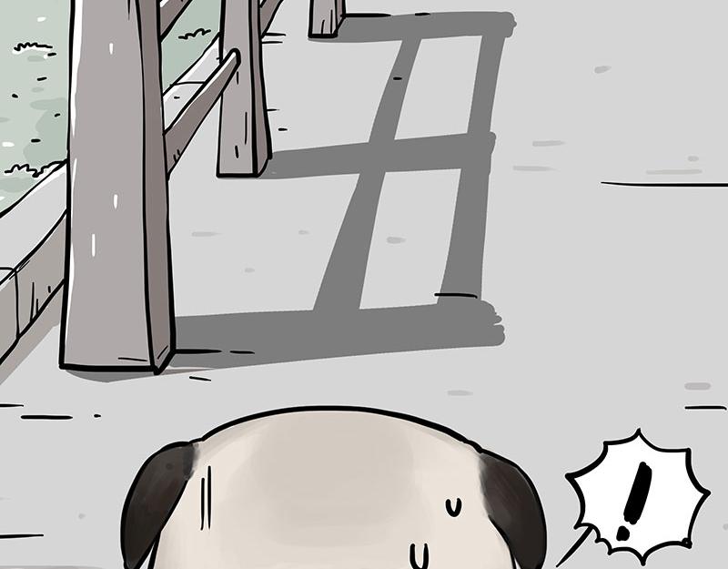第369话 老天爷的答案37