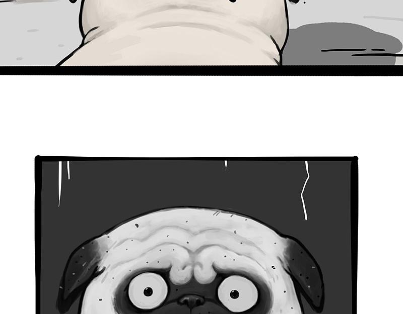 第369话 老天爷的答案38