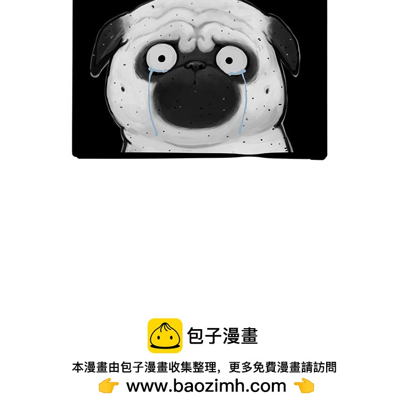 第369话 老天爷的答案40