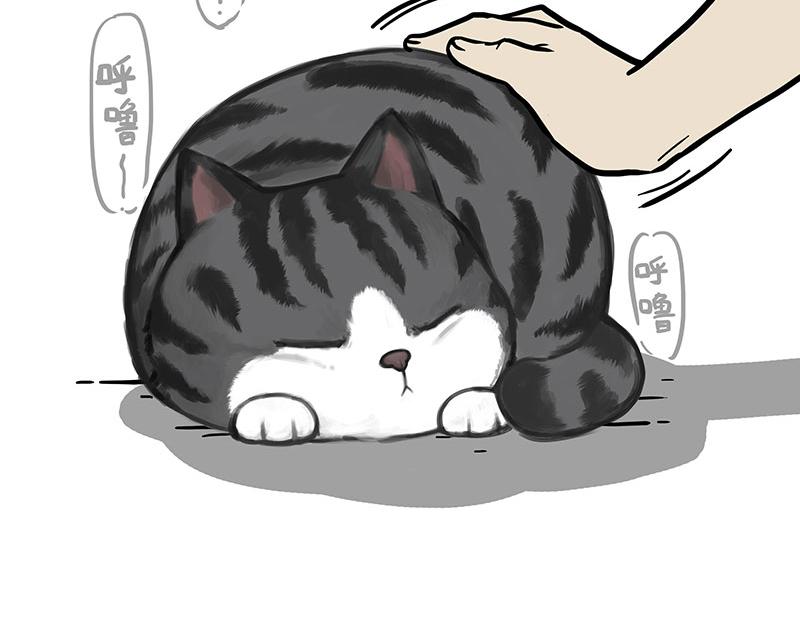 第369话 老天爷的答案6