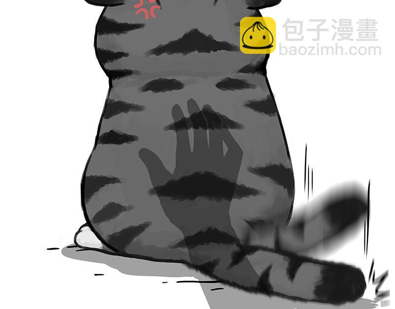 第369话 老天爷的答案8