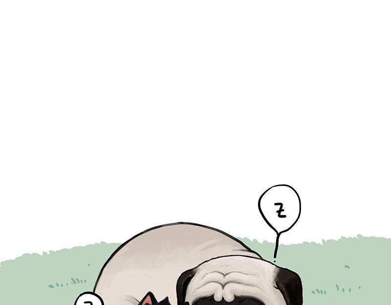 第370话 你就宠它吧0