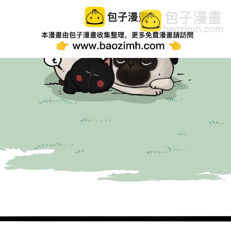 第370话 你就宠它吧1