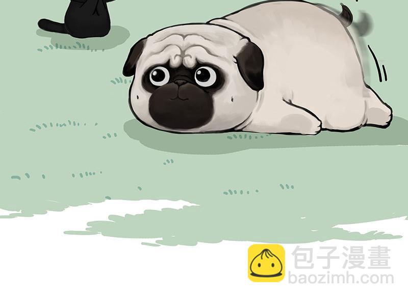 第370话 你就宠它吧14