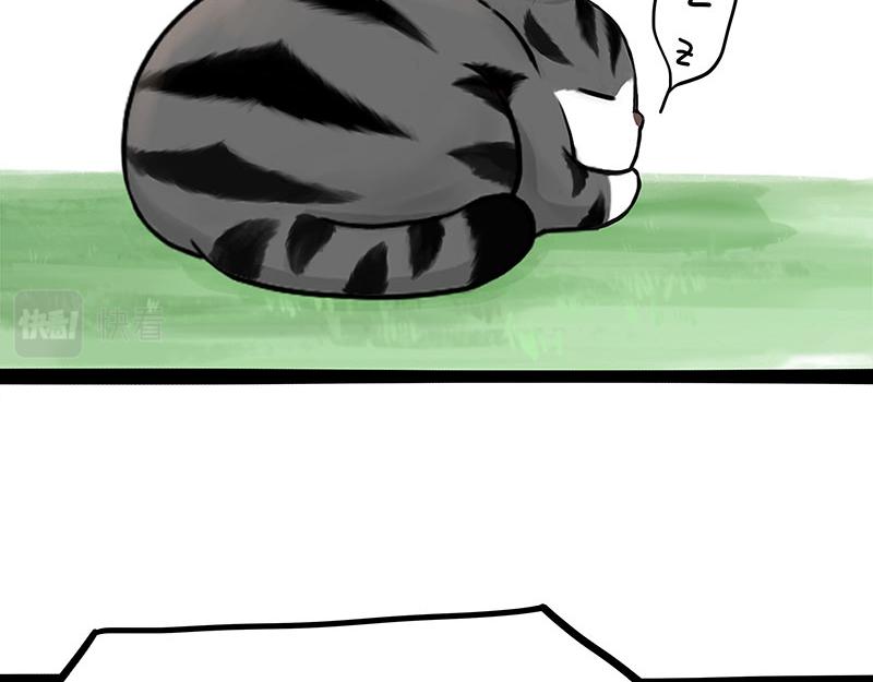 第370话 你就宠它吧19